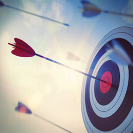 Story 3 Picture 3 Alt Text